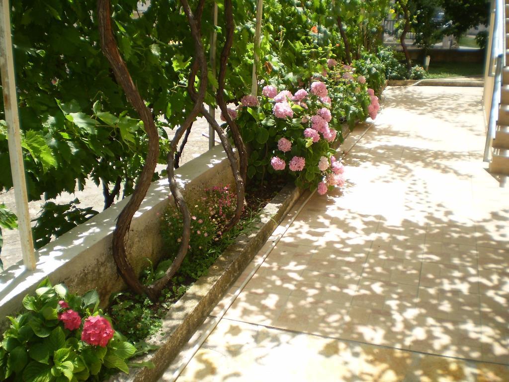 Apartments Tare, Free Parking Vodice Chambre photo